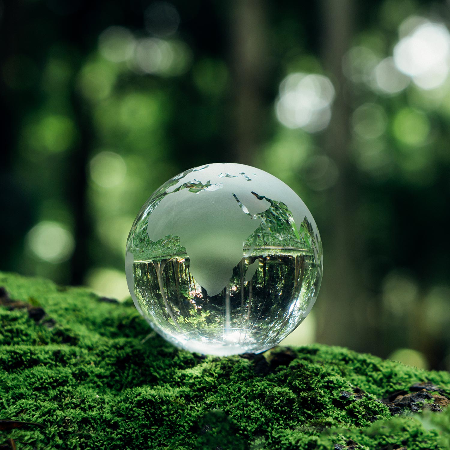 malaika-banner-cevre-00